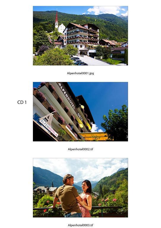 Alpenhotel Oetz Bagian luar foto